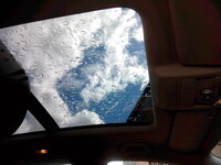 IMG_20130428_120316.jpg