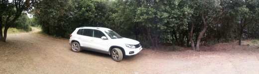 IMG_20130819_085527.jpg