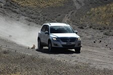 IMG_0363.JPG