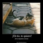 ImageUploadedByTapatalk HD1377293828.484389.jpg