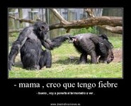 ImageUploadedByTapatalk HD1377853246.480840.jpg