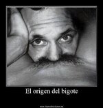 ImageUploadedByTapatalk HD1377864669.654549.jpg
