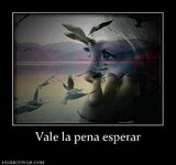 ImageUploadedByTapatalkHD1379322328.904793.jpg