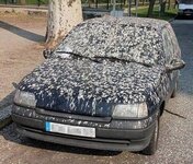 ImageUploadedByTapatalkHD1380458492.105699.jpg