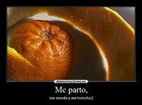 naranja_cascara.jpg