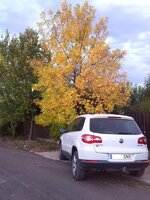 3 Tiguan Otoño. 21.10.13 ++SIN.jpg