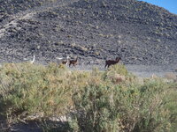 CATAMARCA Mayo 2013 031.JPG