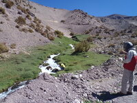 Cordoba-San Juan-La Rioja 039.JPG