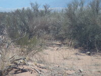 Cordoba-San Juan-La Rioja 067.JPG