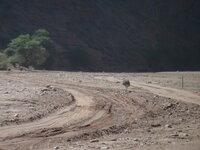 Cordoba-San Juan-La Rioja 068.JPG