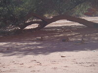 Cordoba-San Juan-La Rioja 078.JPG