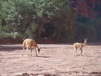 Cordoba-San Juan-La Rioja 086.JPG