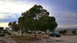 DSC_0126_1.jpg