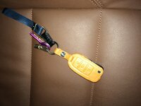 IMG_2557.JPG