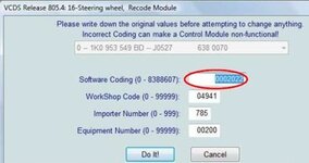 codign steer 2.jpg