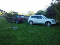 IMG_20150407_195249.jpg