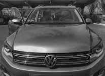 VW2.jpg