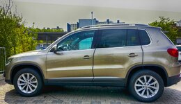 VW9.jpg