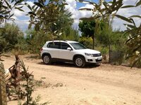 IMG_6970.JPG