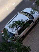 IMG_7324.JPG