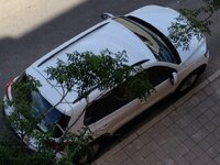 IMG_7325.JPG