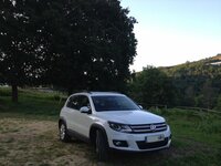 IMG_7546.JPG