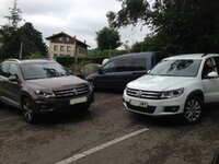 IMG_7569.JPG