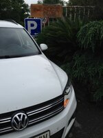 IMG_7572.JPG