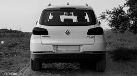 IMG_8240.jpg