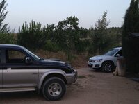 IMG_7973.JPG