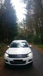 Tiguan_Bagude.jpg