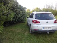 IMG_20150829_194144.jpg