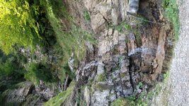 20150914_114720.jpg