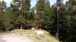 20150914_114938.jpg