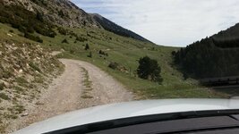 20150914_120704.jpg