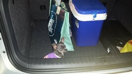 20151011_122229.jpg