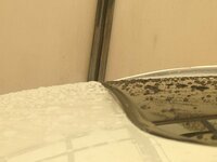 image.jpeg image.jpeg