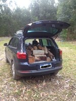 IMG_3129.JPG