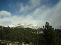 ImageUploadedByTapatalk1448203102.646880.jpg ImageUploadedByTapatalk1448203102.646880.jpg