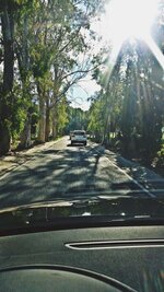 20151129_120719.jpg