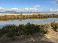 IMG_0089.JPG