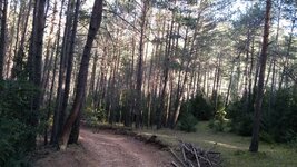20151223_121649.jpg