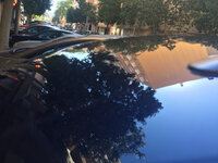 ImageUploadedByTapatalk1457258394.185935.jpg ImageUploadedByTapatalk1457258394.185935.jpg