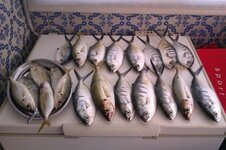 IMG-20130621-WA0004.jpg