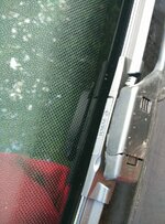 IMG_20160308_165607.jpg