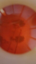 20160312_140444_resized.jpg