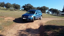 20160312_170213.jpg