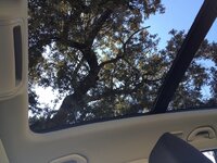 IMG_9269.JPG