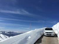 IMG_4704.jpg