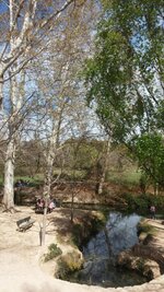 rps20160325_223021.jpg